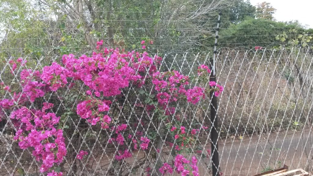 Fencing by SKM