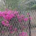Fencing by SKM