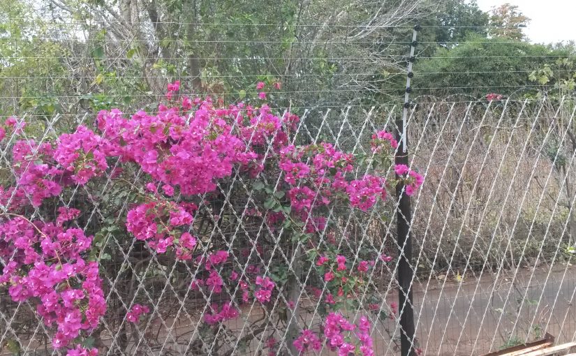 Fencing by SKM